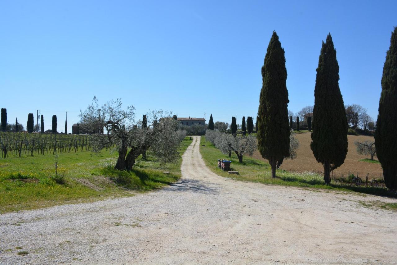 Scappo In Umbria, Casale Monti Villa Montoro  Eksteriør bilde